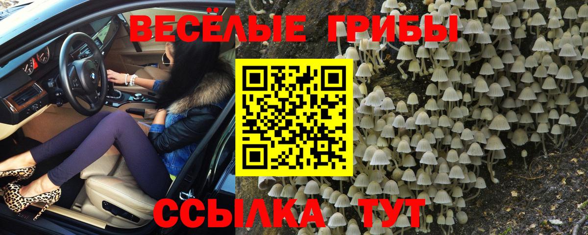 Галлюциногенные грибы мицелий Белгород