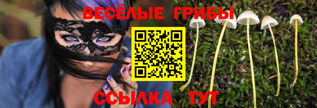 Белгород  Галлюциногенные грибы Psilocybine cubensis  цена наркотик  Вход с VPN 